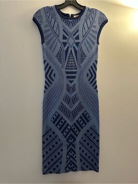 Torn by Ronny Kobo Two-Tone Blue Geometric Midi Dress
